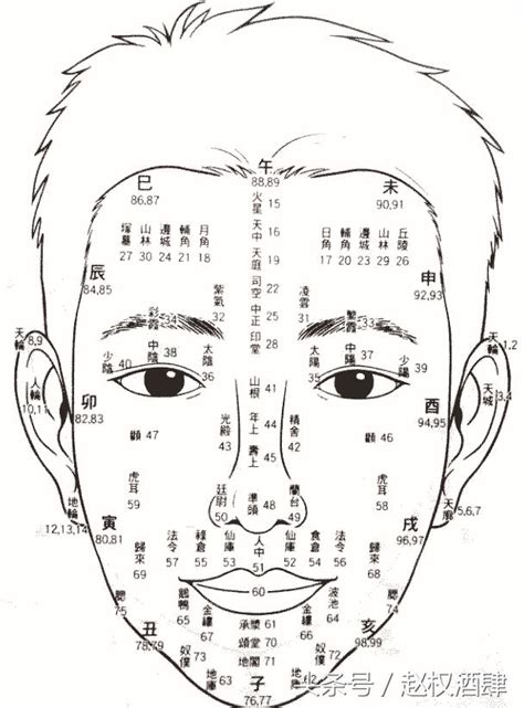 歲數面相年齡|面相看你每一個年齡段的運勢